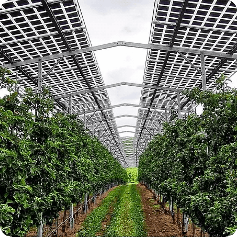 agri-pv