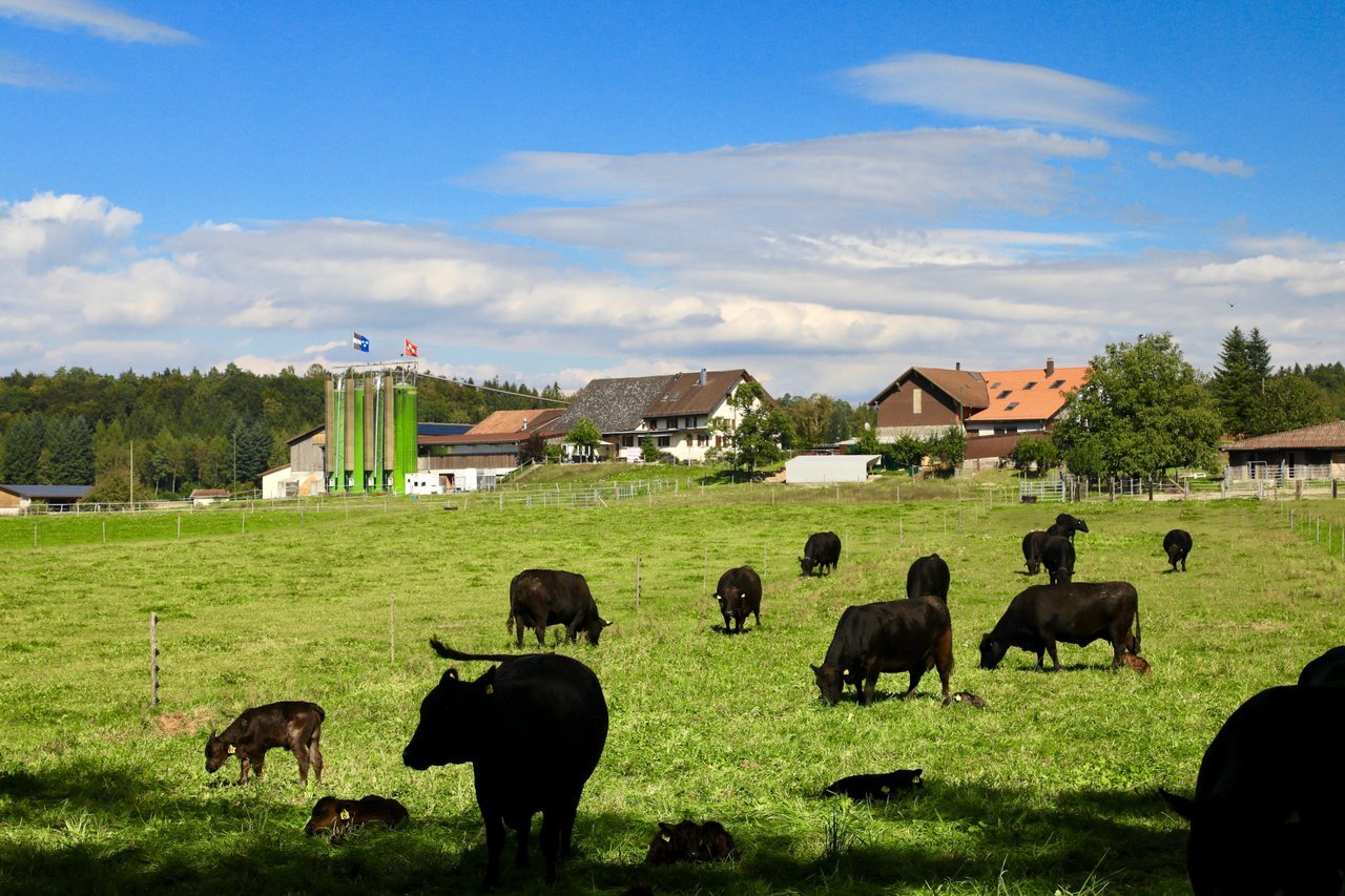 Landwirtschaft und Energie im Einklang